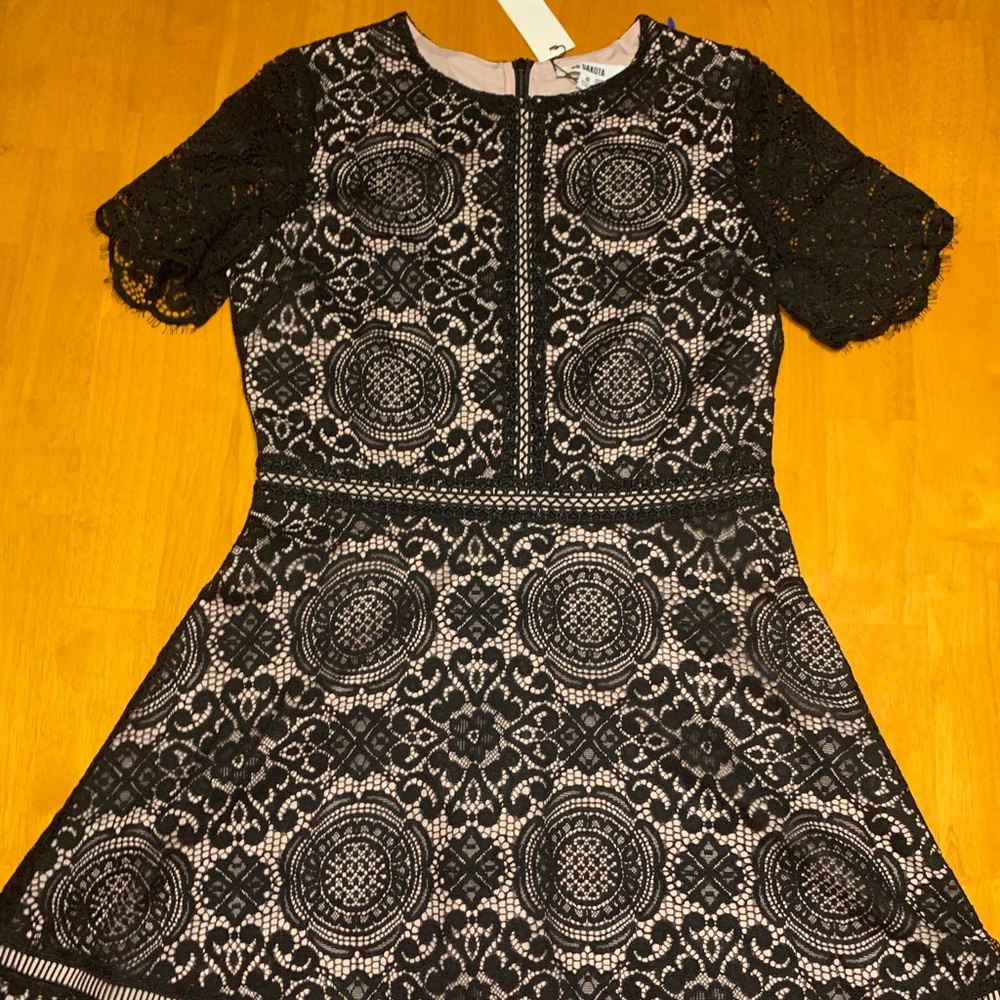 BB Dakota Black Lace Mini Dress with Blush Lining